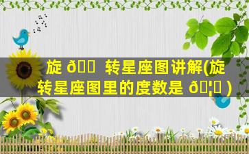 旋 🐠 转星座图讲解(旋转星座图里的度数是 🦉 )